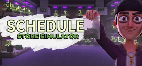 Schedule store simulator