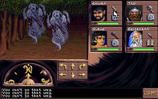 Eye of the Beholder III: Assault on Myth Drannor