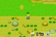 Harvest Moon: More Friends of Mineral Town