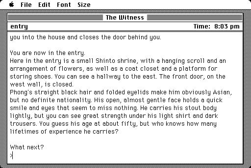 The Witness