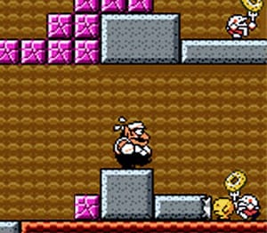 Wario Land 3